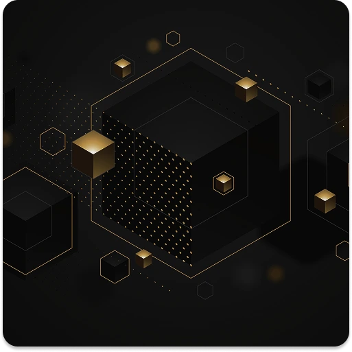 company overview
